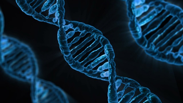 vlákno DNA